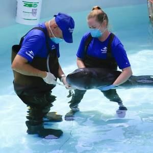 Meet your Posher, Johnnie